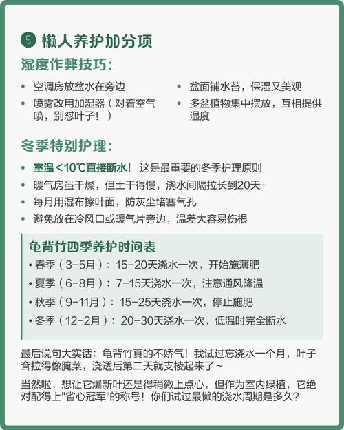 龟背叶多久浇水？龟背叶修剪？-第2张图片-优品飞百科