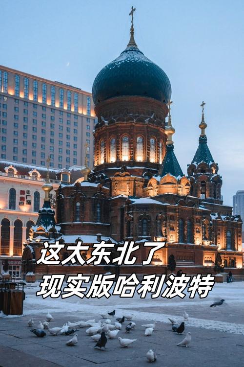 哈尔滨天气历史，哈尔滨天气历史记录查询-第4张图片-优品飞百科