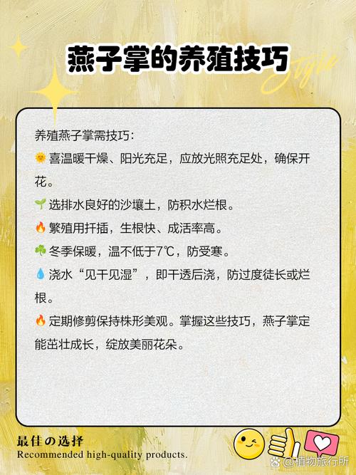 燕子掌适合放在哪里，燕子掌风水摆放位置？-第4张图片-优品飞百科