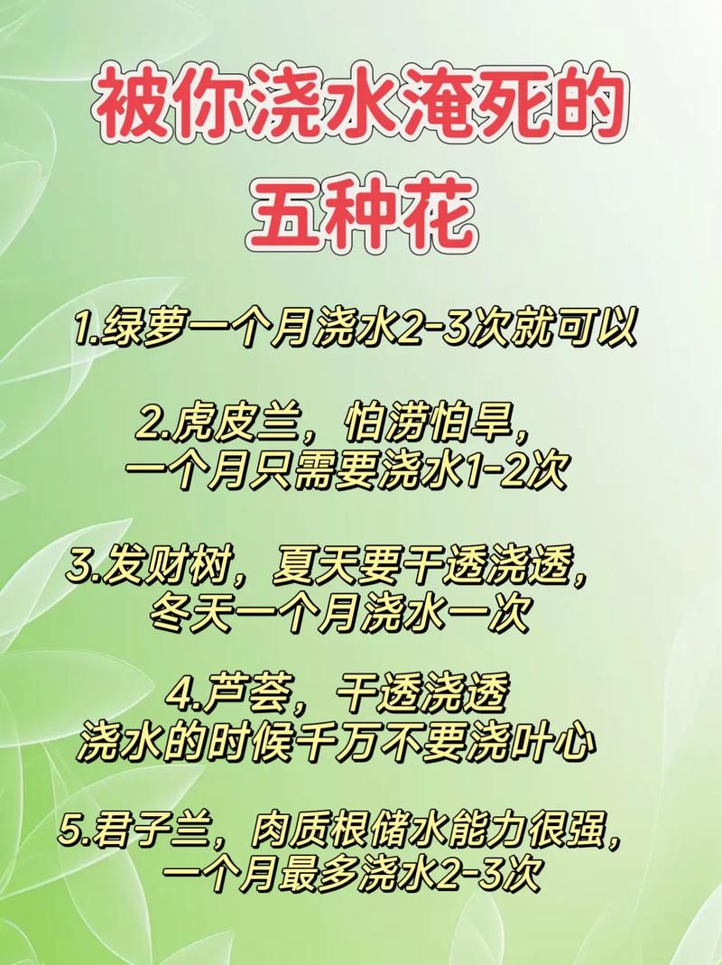 这3种花，春天不这么养，立马黄叶烂根死翘翘！，什么花不烂根？-第4张图片-优品飞百科