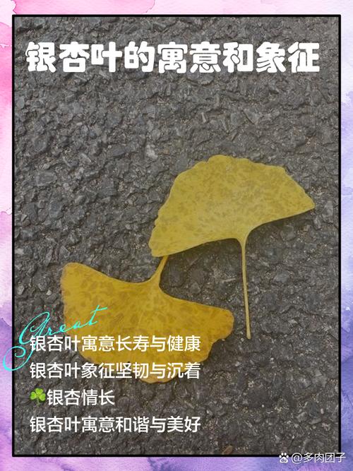 银杏代表什么象征意义，银杏 象征意义？-第2张图片-优品飞百科