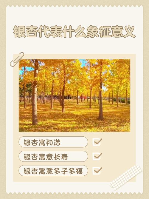 银杏代表什么象征意义，银杏 象征意义？-第3张图片-优品飞百科