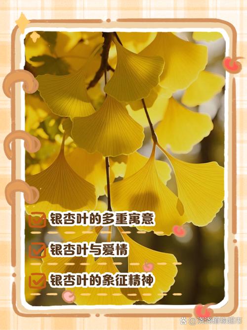 银杏代表什么象征意义，银杏 象征意义？-第5张图片-优品飞百科