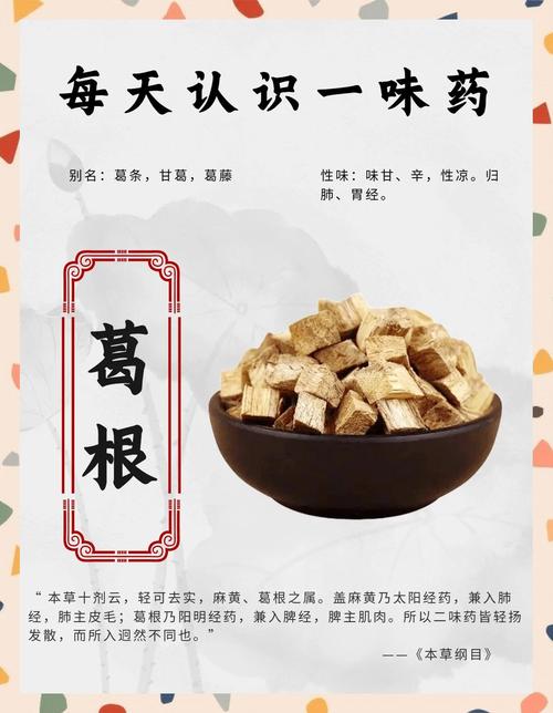 葛根的功效与作用，葛根的功效与作用及营养价值？