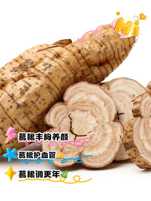 葛根的功效与作用,葛根的功效与作用及营养价值?-第5张图片-优品飞百科 葛根的功效与作用,葛根的功效与作用及营养价值?-第5张图片-优品飞百科