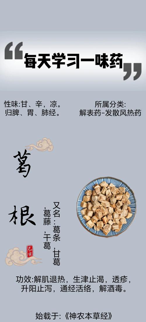 葛根的功效与作用,葛根的功效与作用及营养价值?-第6张图片-优品飞百科 葛根的功效与作用,葛根的功效与作用及营养价值?-第6张图片-优品飞百科