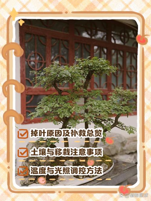 小叶紫檀干枯能救活吗，小叶紫檀干枯能救活吗图片-第4张图片-优品飞百科