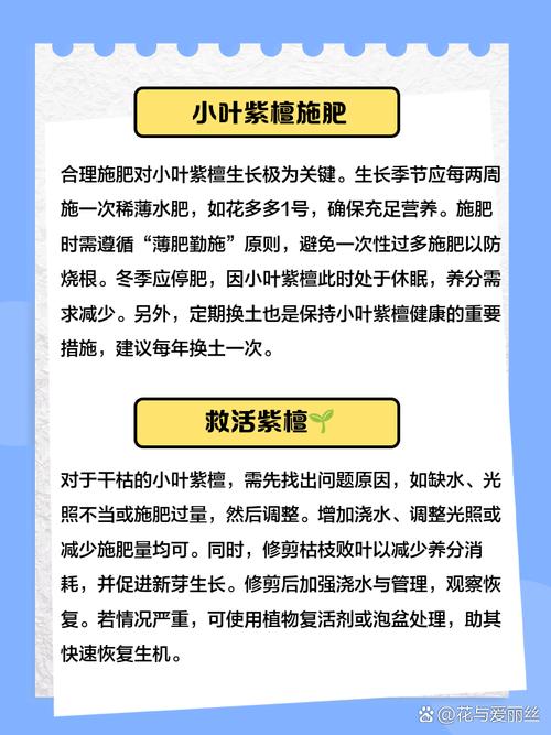 小叶紫檀干枯能救活吗，小叶紫檀干枯能救活吗图片-第7张图片-优品飞百科