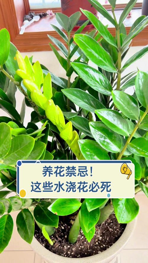 包含这“3种”液体的词条
