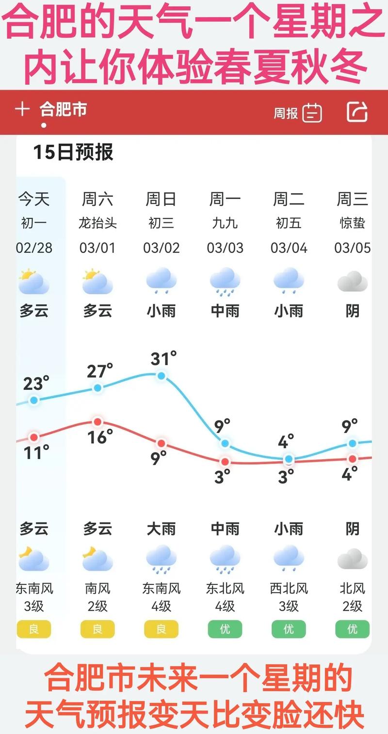 合肥天气预报15天准确天气，合肥天气预报15天查-第6张图片-优品飞百科