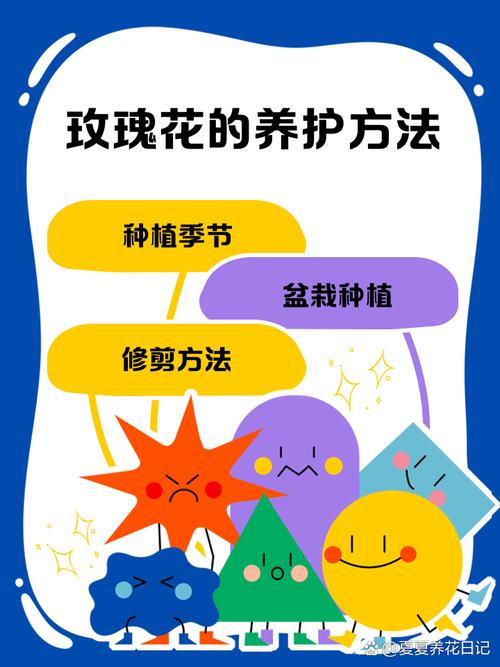 玫瑰花适合什么土壤，玫瑰花要什么土好生长?？-第5张图片-优品飞百科