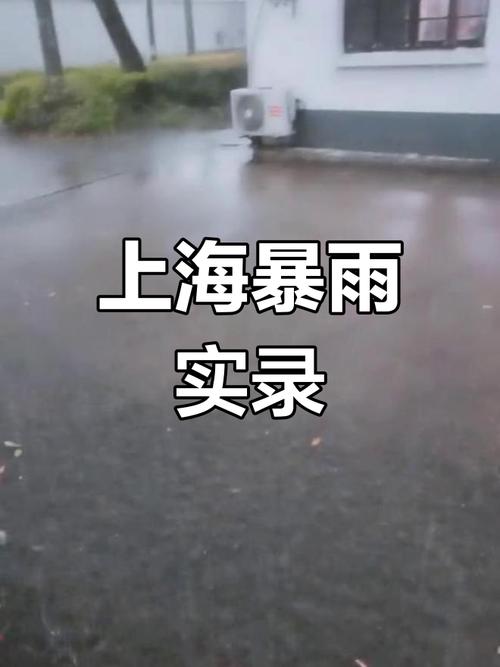 上海杨浦天气预警最新，上海杨浦实时天气预报查询？-第4张图片-优品飞百科