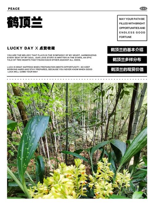 鹤顶兰的病虫害及其防治？鹤顶兰花怎么养？-第6张图片-优品飞百科