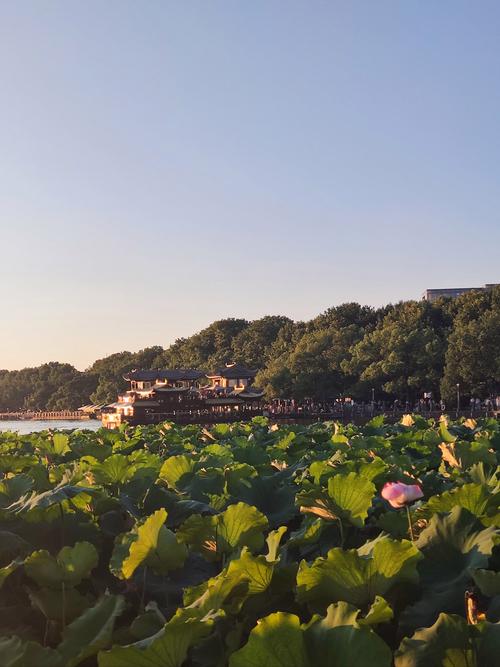 浙江省杭州市西湖区天气30天，杭州市西湖区实时天气预报？-第2张图片-优品飞百科