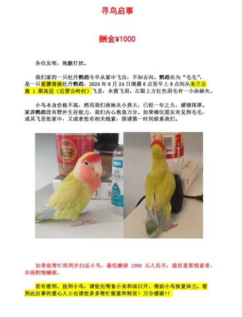 黄桃的养殖方法和注意事项，黄桃的栽培-第3张图片-优品飞百科