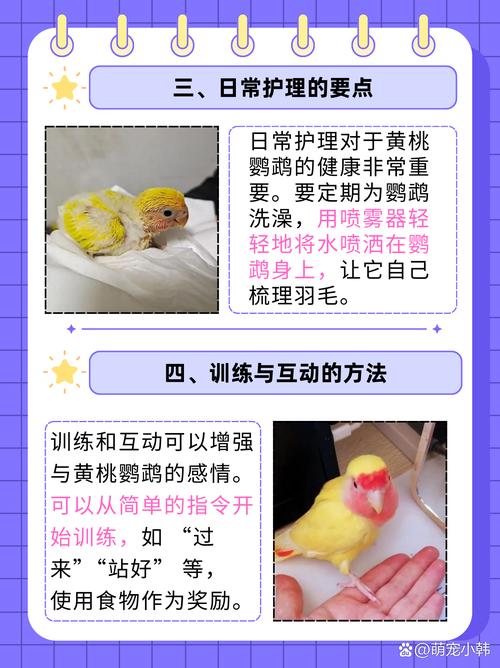 黄桃的养殖方法和注意事项，黄桃的栽培-第5张图片-优品飞百科