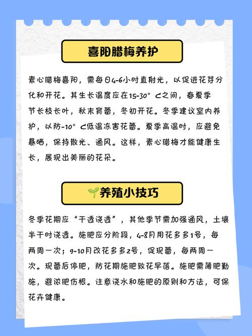 腊梅花谢后怎么养？腊梅开完花后如何养护？-第3张图片-优品飞百科