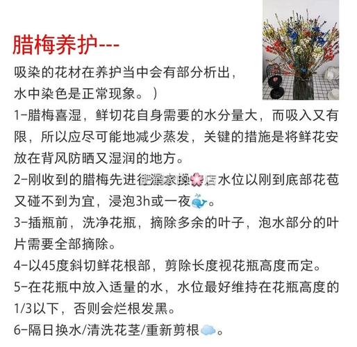 腊梅花谢后怎么养？腊梅开完花后如何养护？-第4张图片-优品飞百科