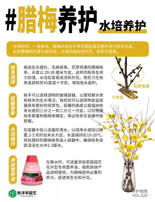 腊梅花谢后怎么养？腊梅开完花后如何养护？-第6张图片-优品飞百科