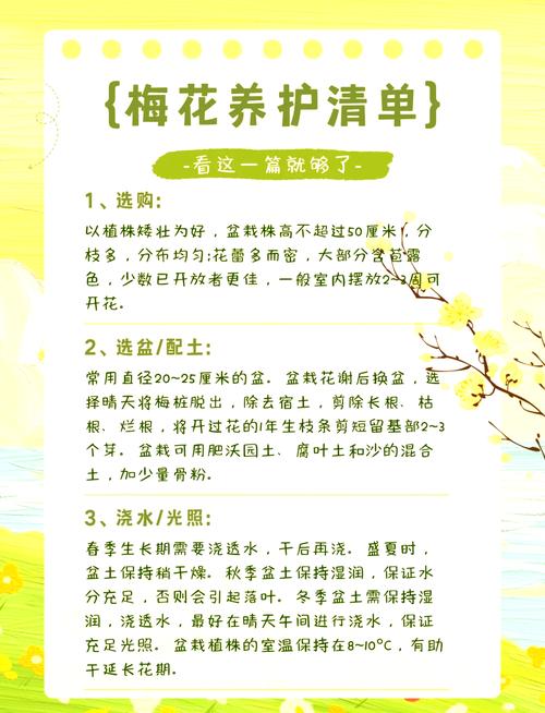腊梅花谢后怎么养？腊梅开完花后如何养护？-第8张图片-优品飞百科