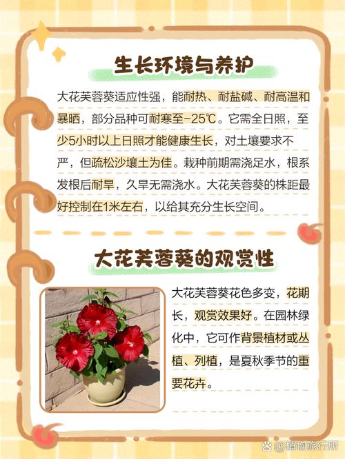 芙蓉葵的繁殖方式？芙蓉葵的繁殖方式有哪些？-第6张图片-优品飞百科