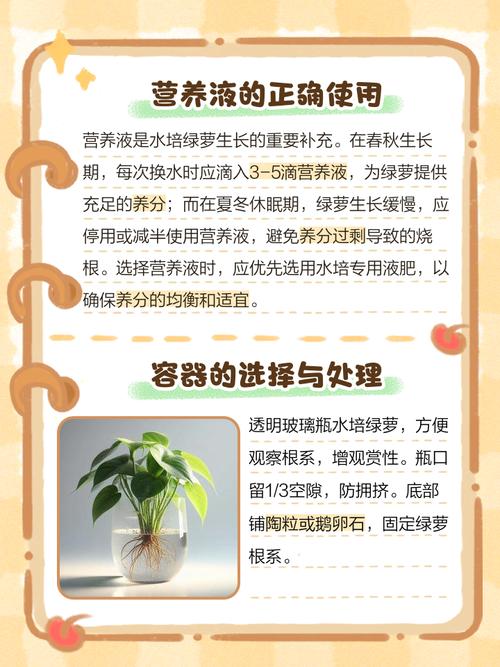 水培绿萝营养液怎么浇？水培绿萝营养液怎么浇水？-第2张图片-优品飞百科