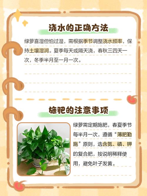 绿萝的叶子为什么发黄，绿萝的叶子为何发黄-第5张图片-优品飞百科