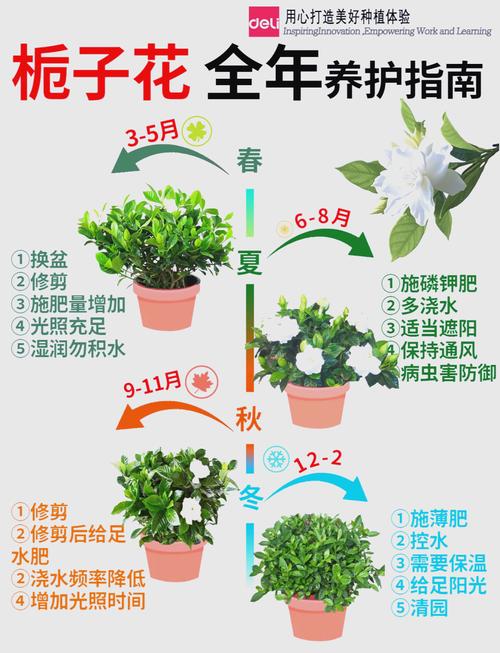 栀子花怎样开花多，栀子花怎么开花快？-第5张图片-优品飞百科