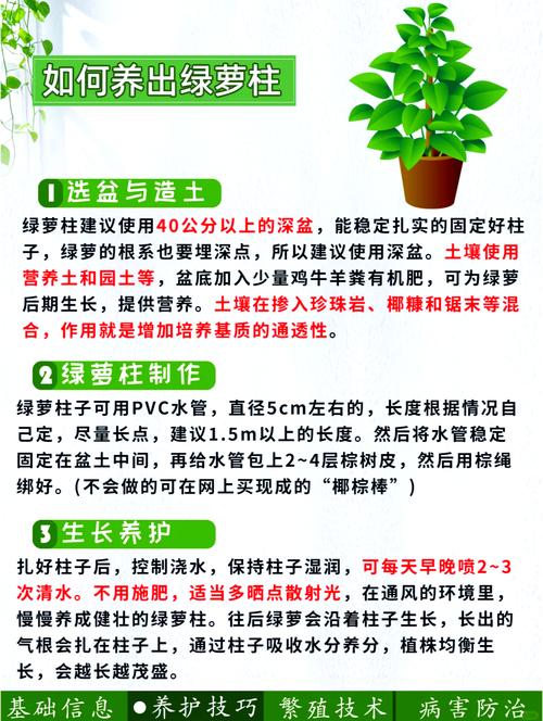 刚买的栀子总发黄？学1招，3天黄叶变绿叶，花朵咕噜噜...，栀子花刚买回来就黄了