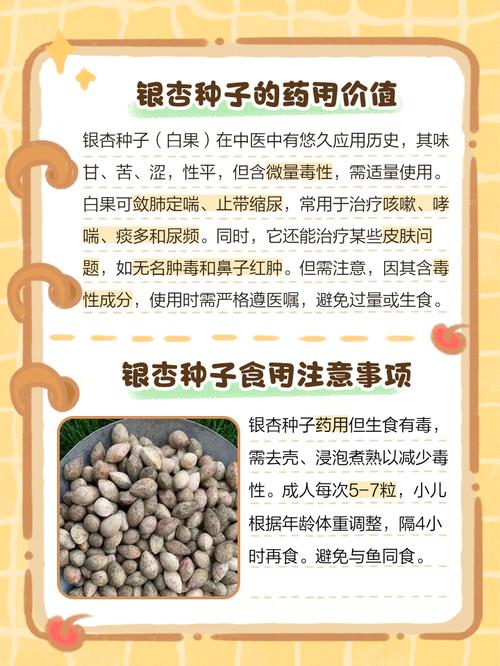 银杏树种子什么时候种，银杏树苗什么时候种？