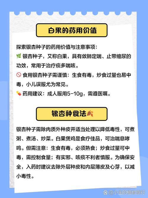 银杏树种子什么时候种，银杏树苗什么时候种？-第6张图片-优品飞百科