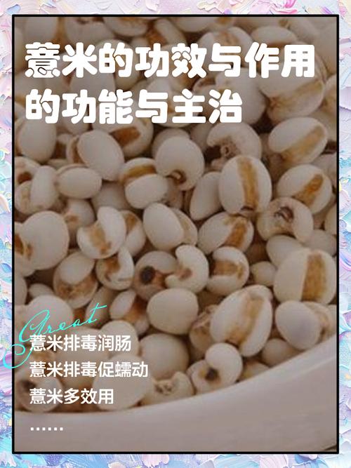 薏米的养殖方法和注意事项，薏米的养殖方法和注意事项视频？-第3张图片-优品飞百科