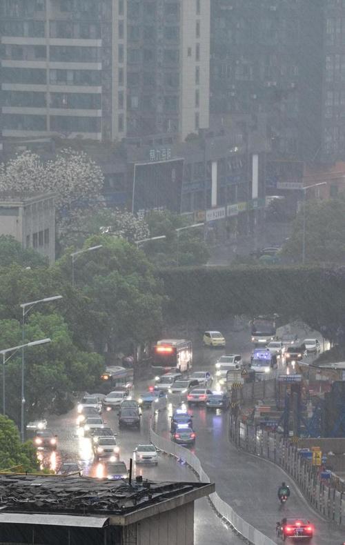 长沙天气下雨概率？长沙天气降雨概率？-第2张图片-优品飞百科
