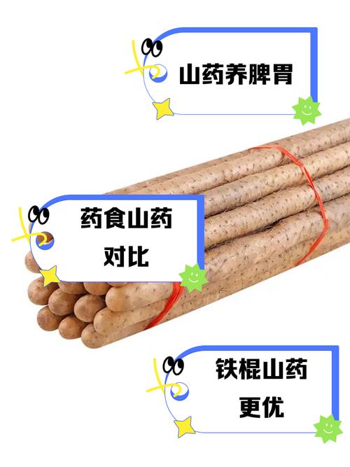 毛山药和铁棍山药区别？毛山药与铁棍山药的区别？-第3张图片-优品飞百科