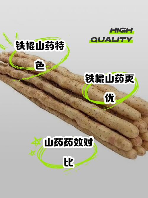 毛山药和铁棍山药区别？毛山药与铁棍山药的区别？-第4张图片-优品飞百科