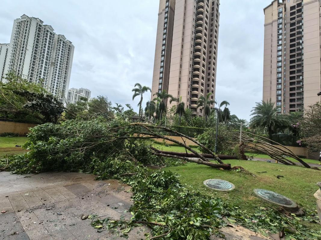 上海天气台风预警？上海天气台风预警等级？-第5张图片-优品飞百科