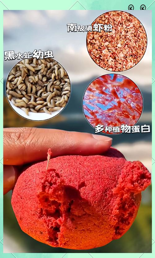 黑水虻是什么虫，有什么利用价值，黑水虻是什么虫,有什么利用价值呢