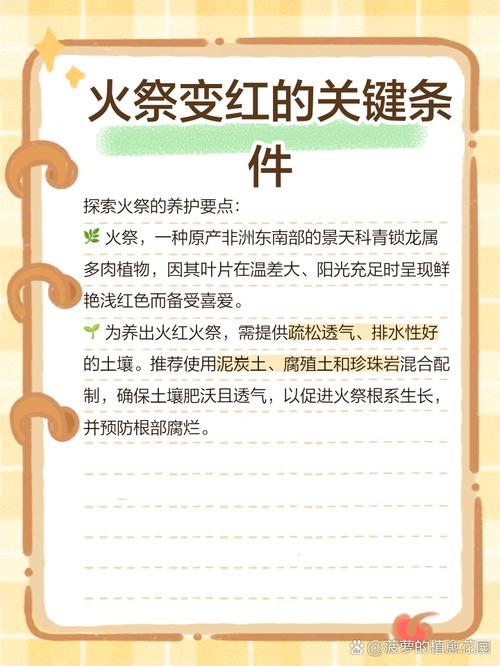 如何使火烧花在圣诞节开花？火烧花什么时候开花？-第4张图片-优品飞百科