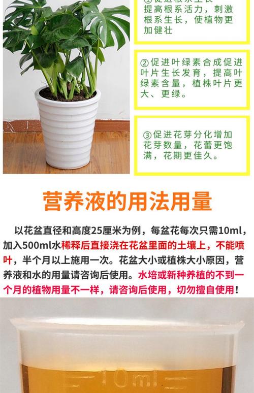 素方花的养殖方法及注意事项，素方花的功效与作用