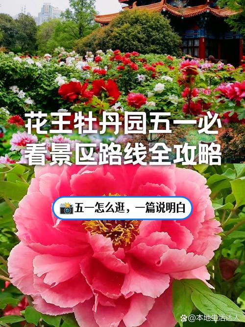 西华天气预报西华天气，西华天气一周天气预报-第5张图片-优品飞百科