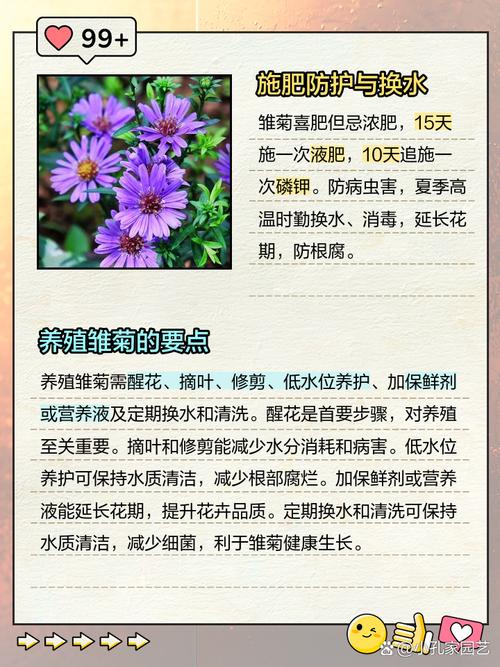 雏菊的病害防治，雏菊的病害防治措施-第6张图片-优品飞百科