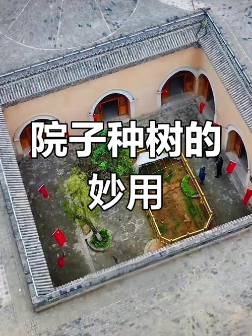 无花果的结果事宜？无花果要结果是什么样子？-第2张图片-优品飞百科