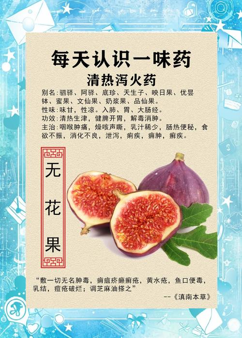 无花果的结果事宜？无花果要结果是什么样子？-第3张图片-优品飞百科