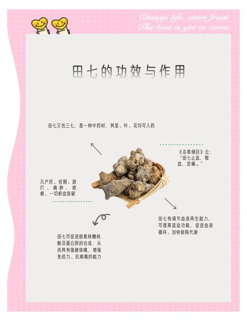 三七的功效与作用，天麻的功效与作用-第2张图片-优品飞百科