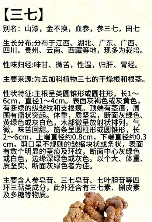 三七的功效与作用，天麻的功效与作用-第3张图片-优品飞百科