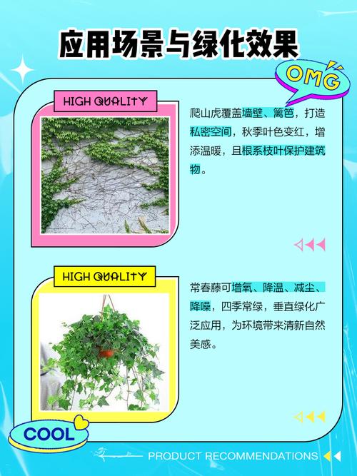 爬山虎和常春藤怎么区分，爬山虎 常春藤的不同？-第3张图片-优品飞百科