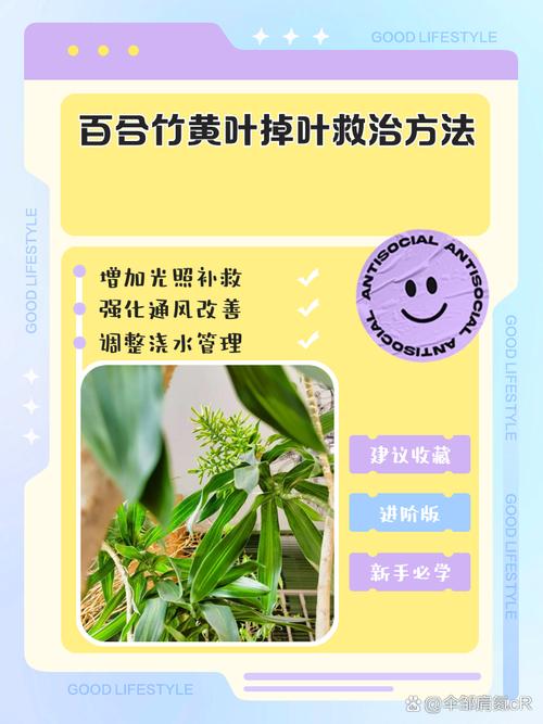 竹子叶子发黄什么原因，怎么补救，竹子叶发黄什么原因如何治疗