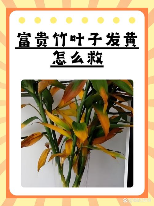 竹子叶子发黄什么原因，怎么补救，竹子叶发黄什么原因如何治疗-第7张图片-优品飞百科