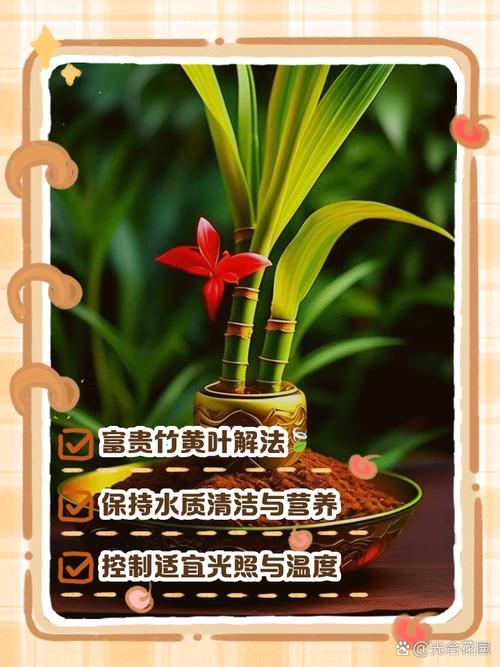 竹子叶子发黄什么原因，怎么补救，竹子叶发黄什么原因如何治疗-第8张图片-优品飞百科