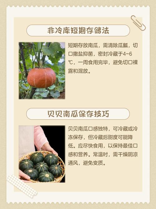 切开的南瓜怎么保存，切开的南瓜怎么保存比较好？-第4张图片-优品飞百科